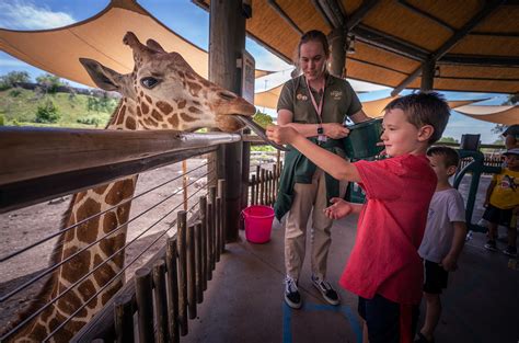 Hogle zoo - Come Work With Us! Community science describes scientific work conducted by the general public in collaboration with a scientific institution. Explore some of the ways you can take part in Utah’s Hogle Zoo scientific work through our community science programs: